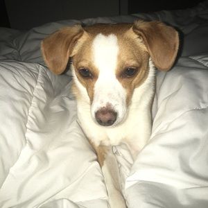 Meet your Posher, Annette